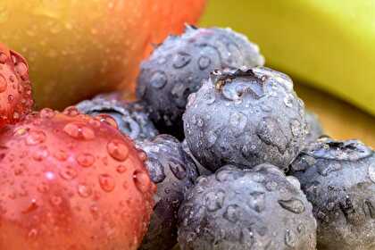 Apple Banana Blueberry Smoothie