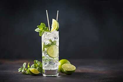 Thermomix Mojito