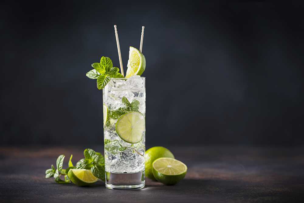 image Thermomix Mojito