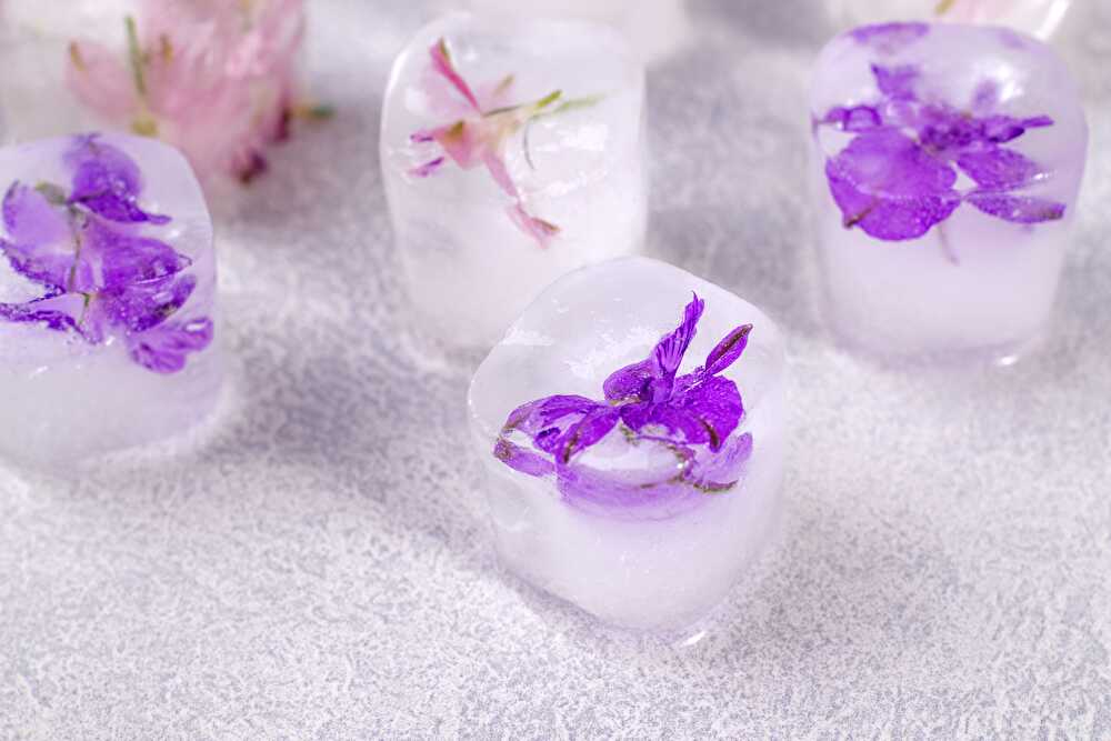 image Strawberry Smoothie and Flower Ice Cubes