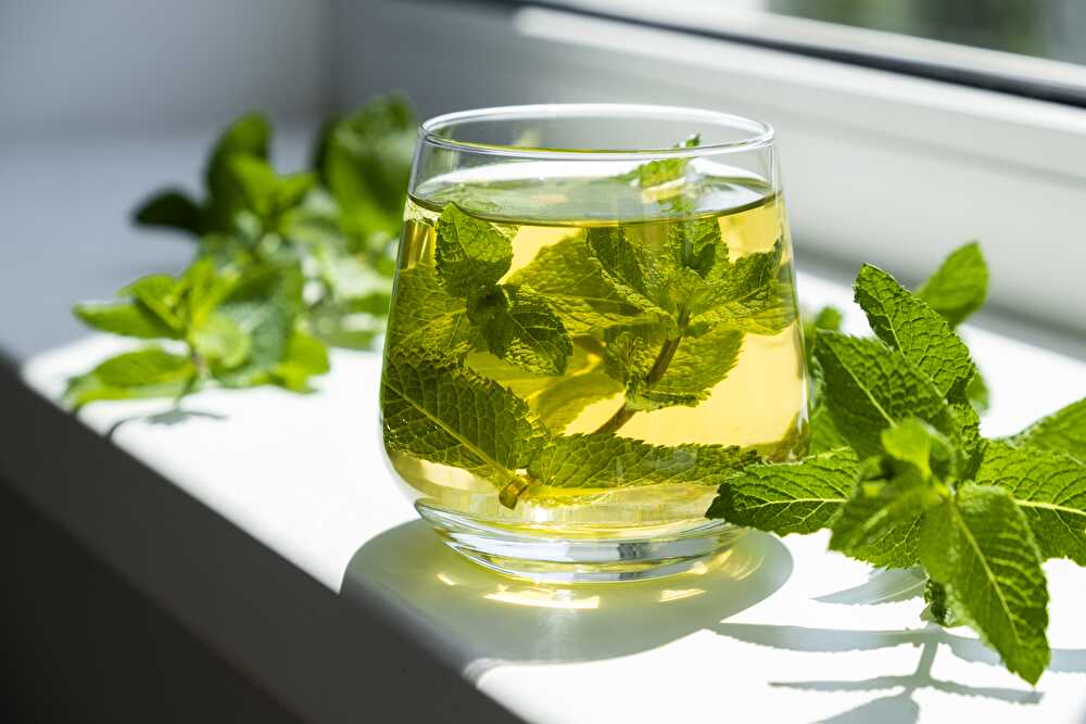 image Homemade mint syrup