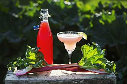 Homemade Rhubarb Vodka