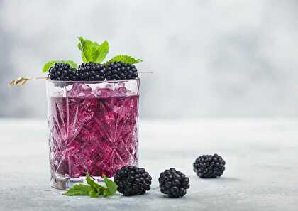 Blackberry and Mint Sparkle
